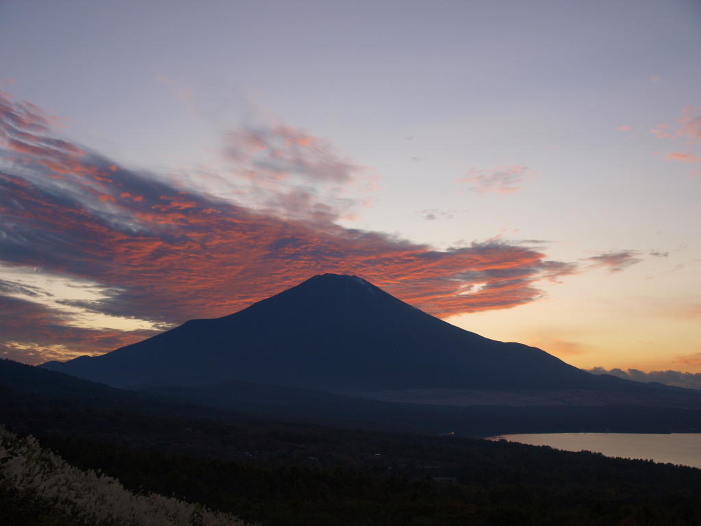 �p�m���}��@�_�ƕx�m�R