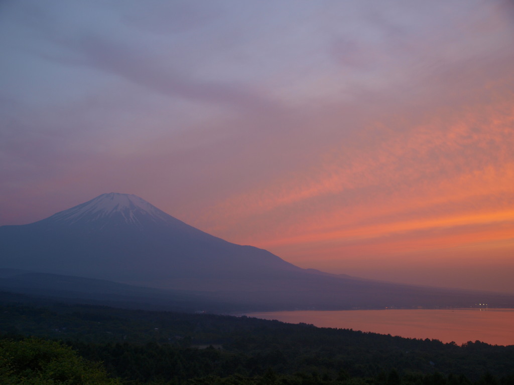 �p�m���}��@�[�Ă��̕x�m�R