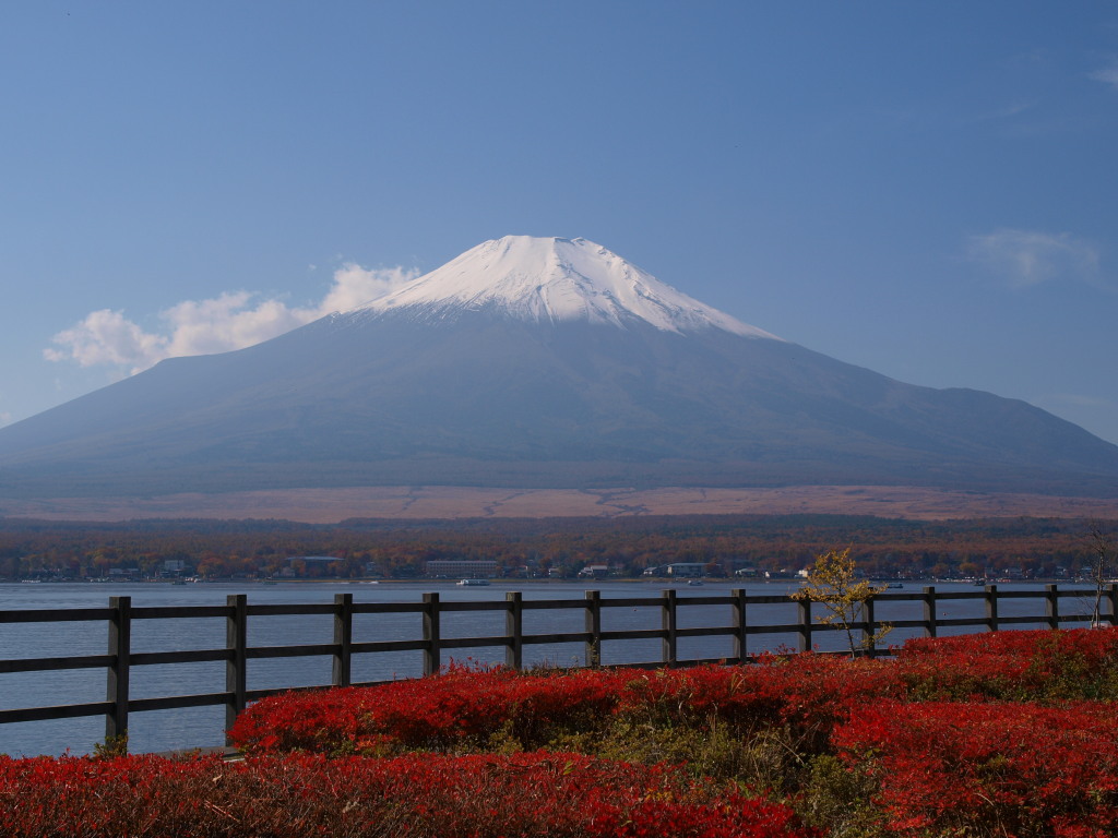 ���r�@�c�c�W�ƕx�m�R