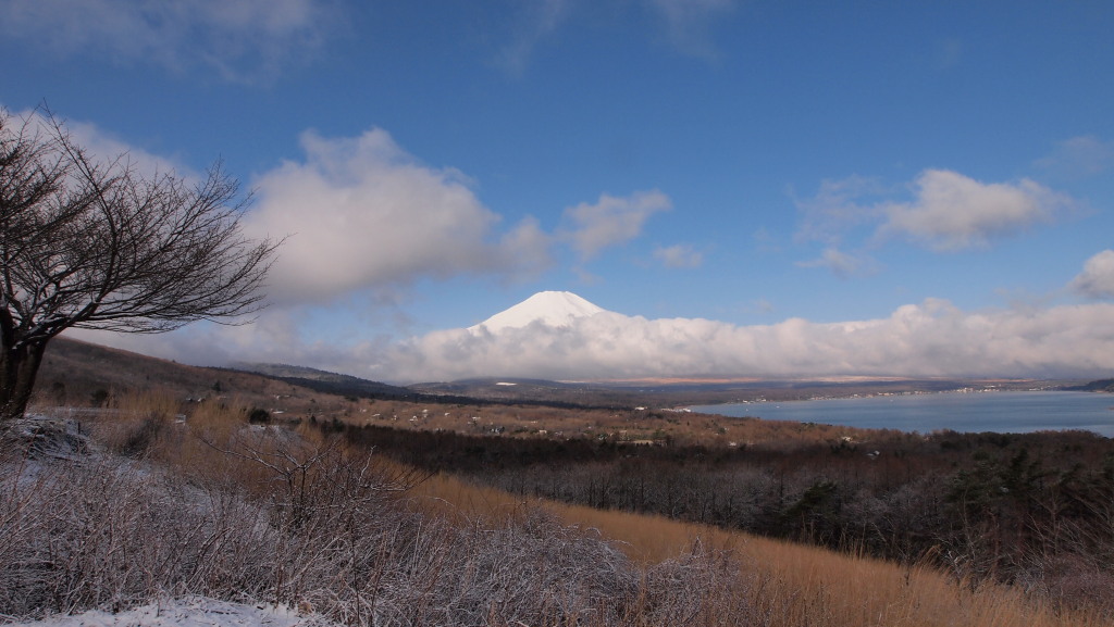 �p�m���}��@�_�ƕx�m�R