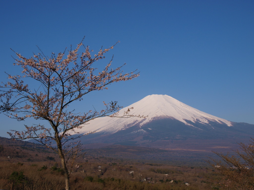 �p�m���}��@���ƕx�m�R