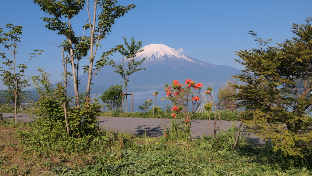 ����@�K�X�Ɣ����ƕx�m�R