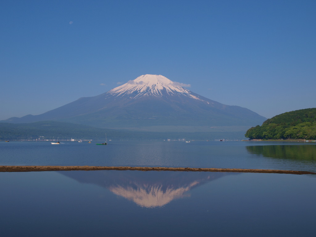 ����@�K�X���؂ꂽ�t���x�m