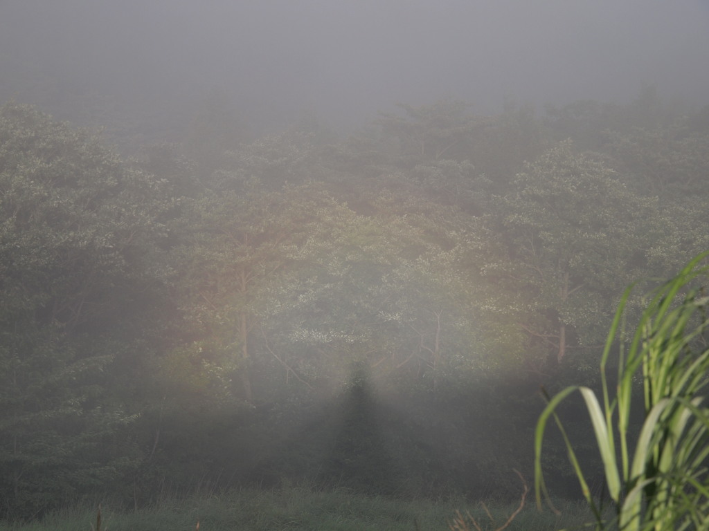 �p�m���}��@�u���b�P������