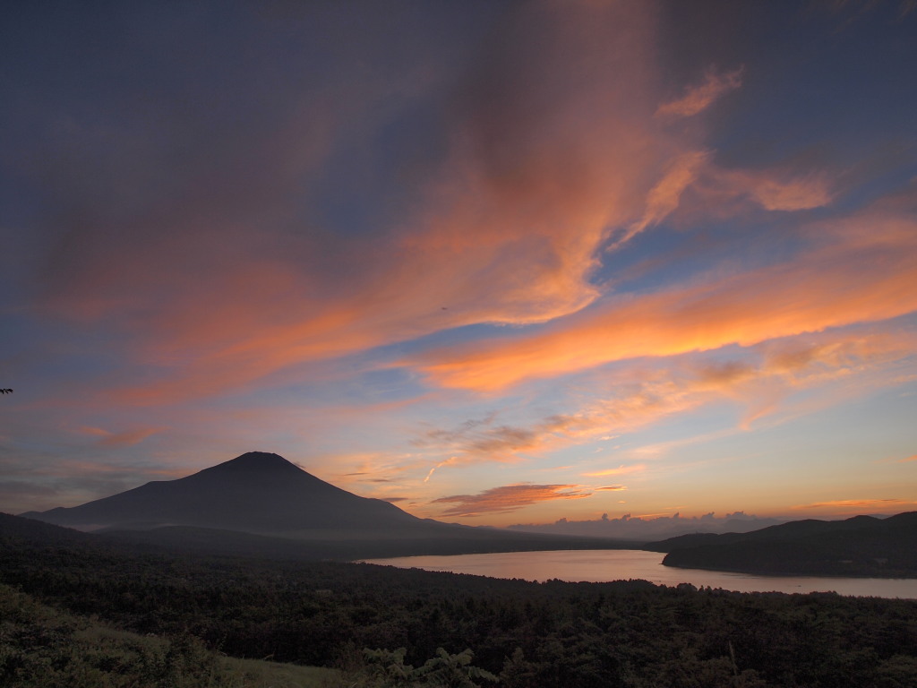 �p�m���}��@�[�Ă��̕x�m�R