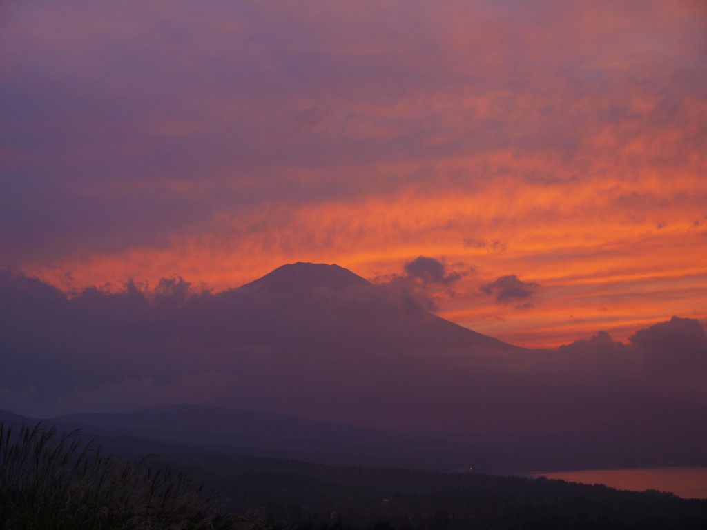 �p�m���}��@�[�Ă��̕x�m�R