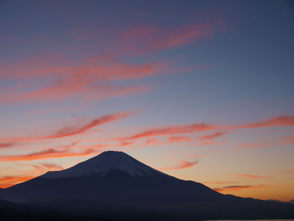 ���r�@�[�Ă��̕x�m�R