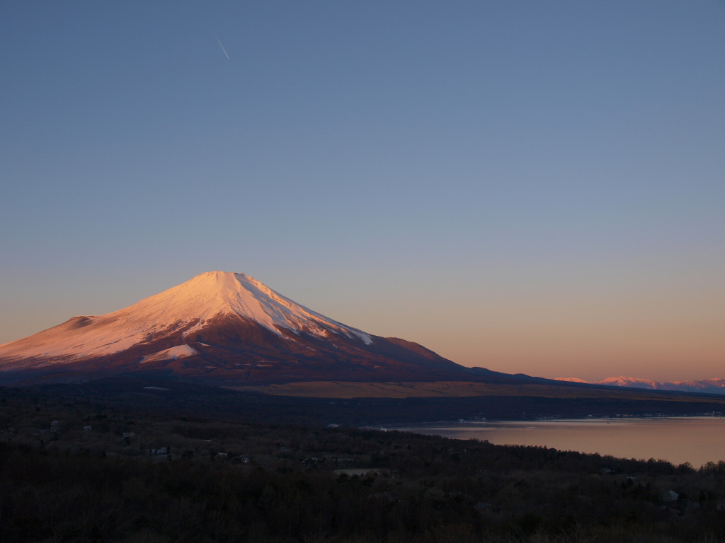 �p�m���}��@���ꂢ�ɐF�Â����x�m�R