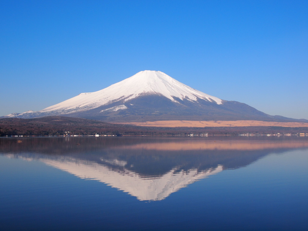 ����@�t�̂��ꂢ�ȋt���ʎ�