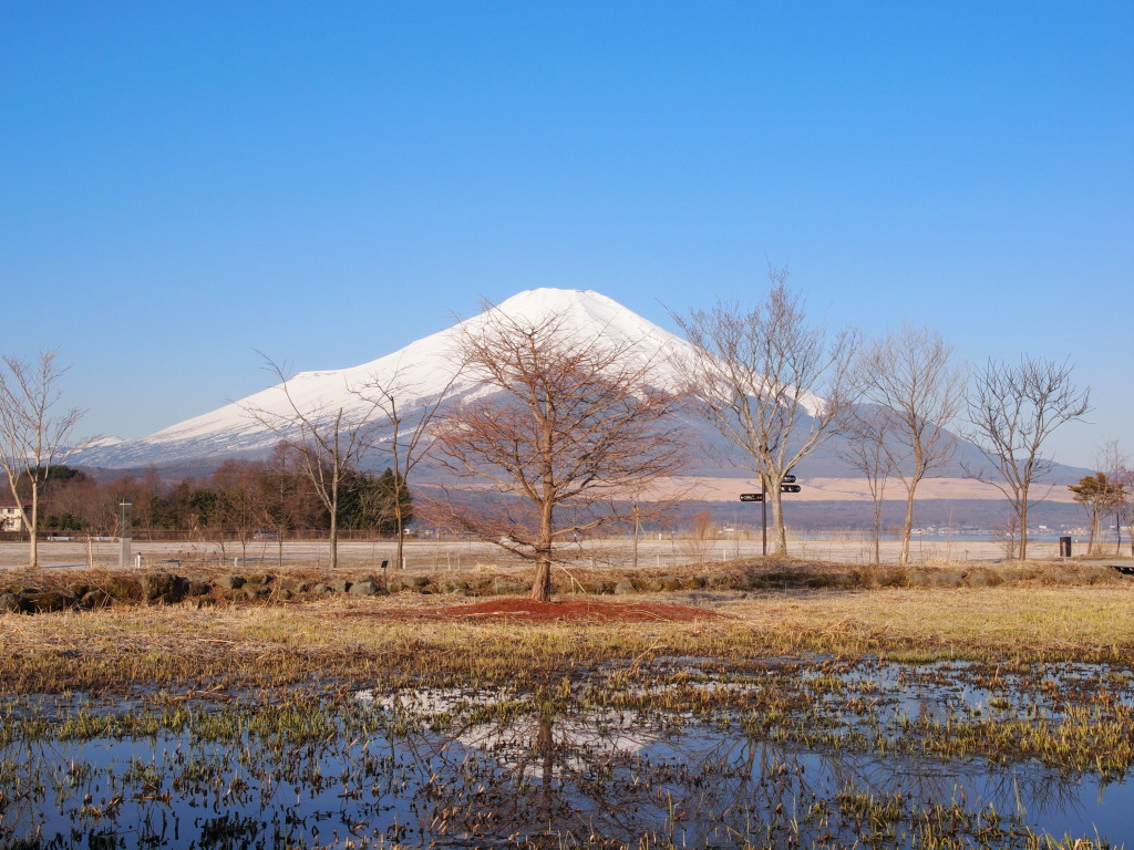 ����@�����̒r�Ƌt���x�m