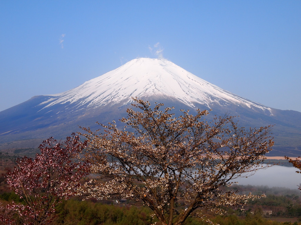 �p�m���}�� �哇���ƕx�m�R