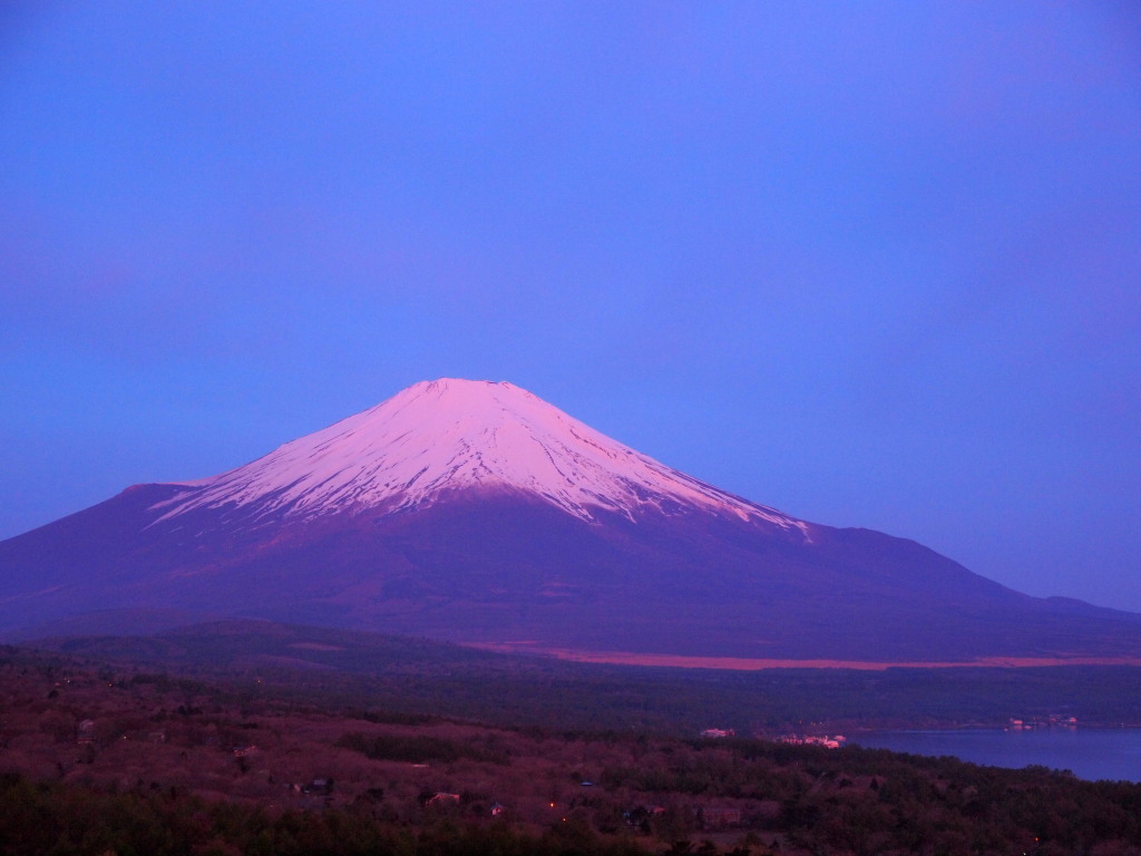 �p�m���}��@���Ă��̕x�m�R