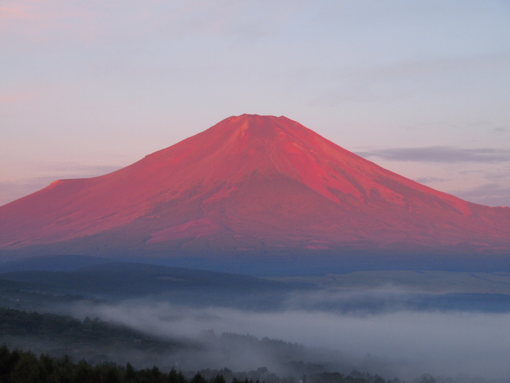 �p�m���}��@�_�C�Ɛԕx�m