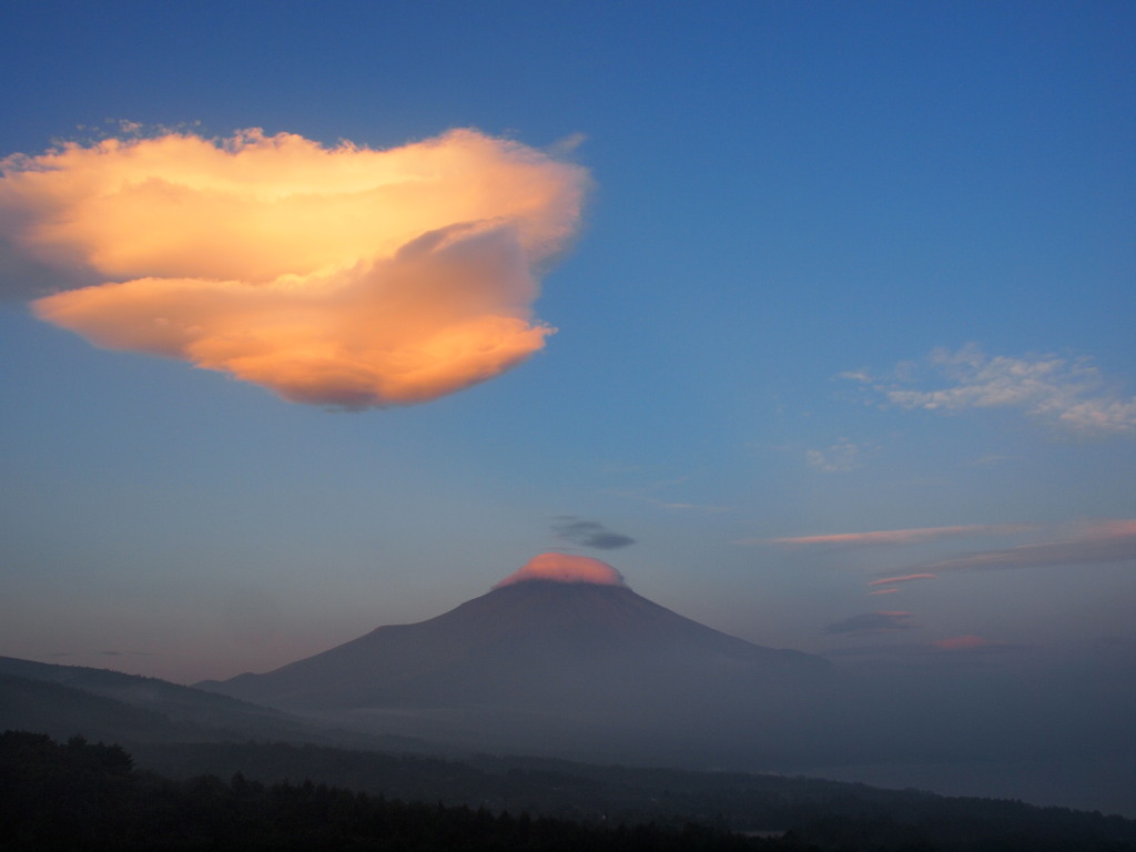 �p�m���}��@������ƕx�m�R