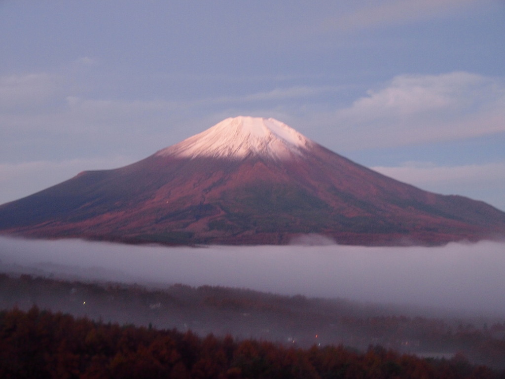 �p�m���}��@�_�C�ƕx�m�R