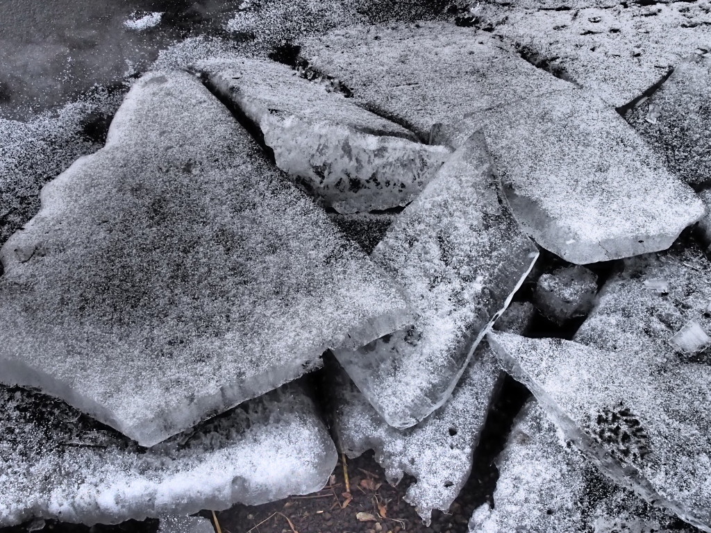 ���� �l����