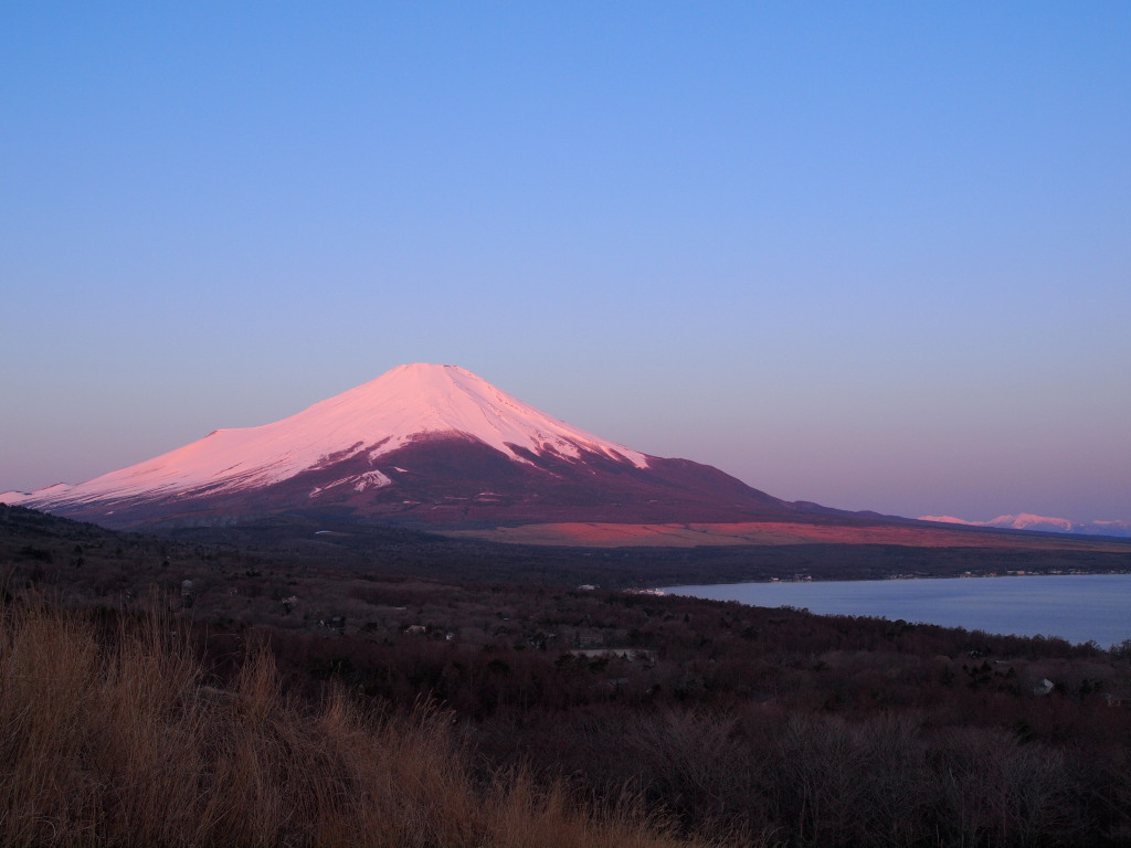 �p�m���}�� ���Ă��̍g�x�m