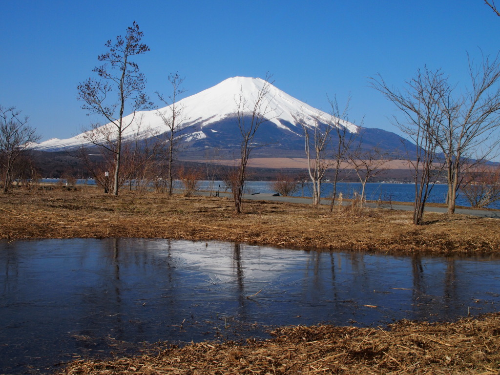 ���� �L��������̋t���x�m