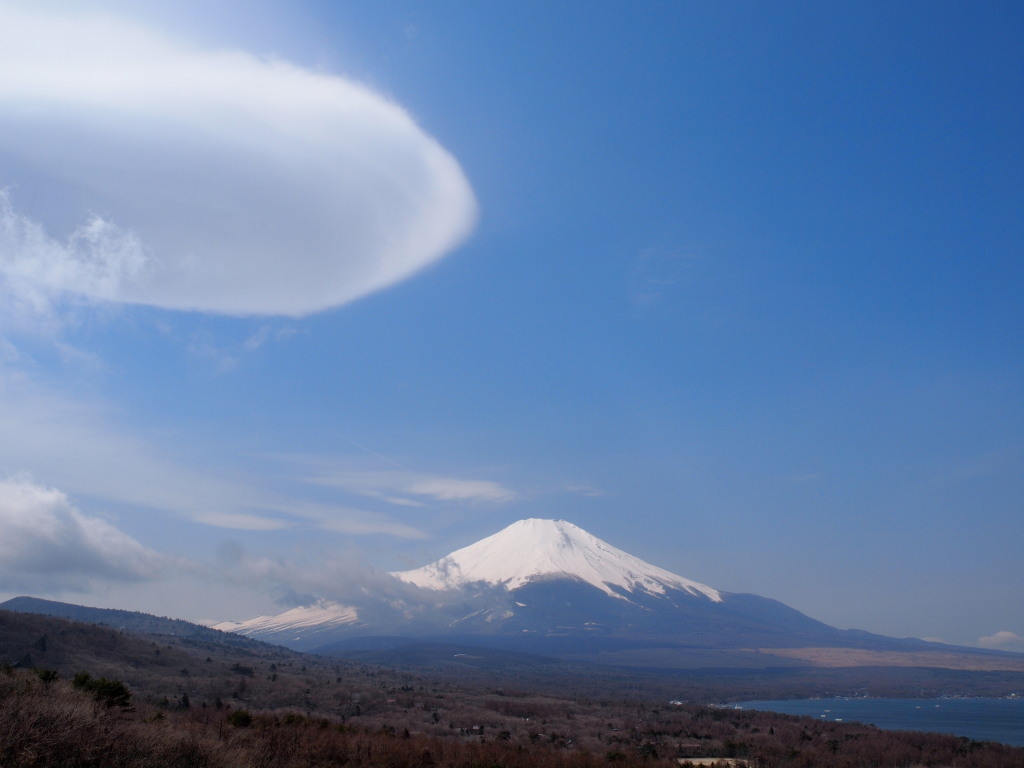 �p�m���}�� �_�ƕx�m�R