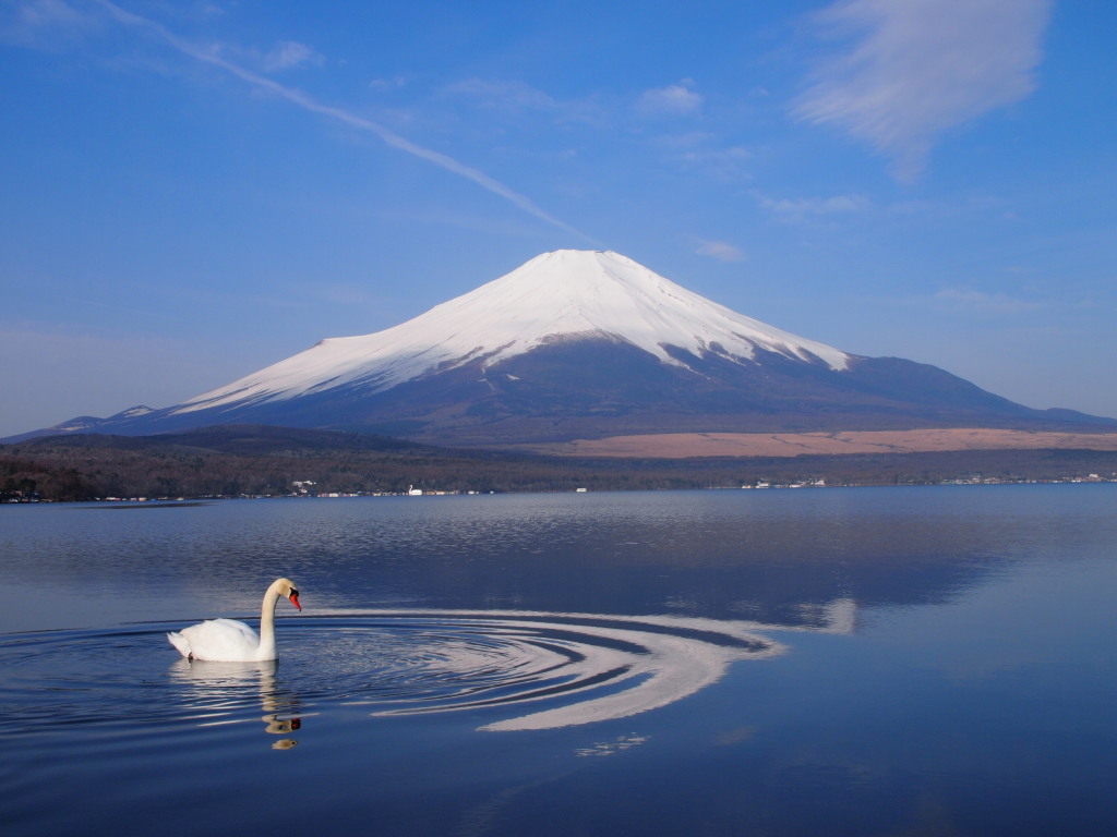 ���� �����ƕx�m�R