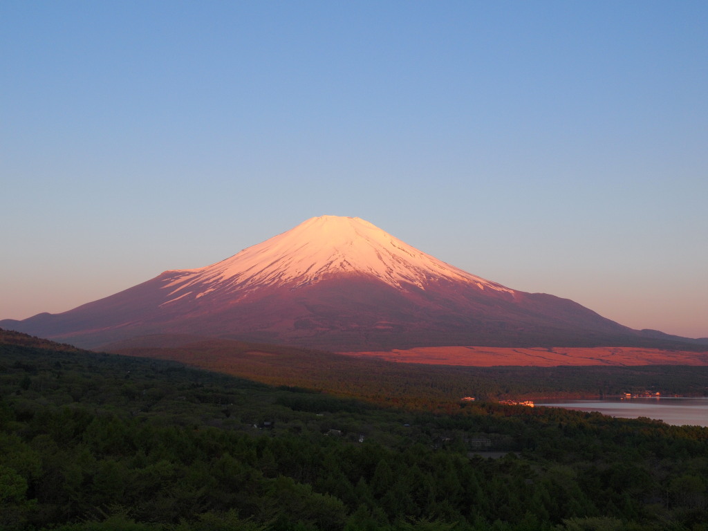 �p�m���}�� ���Ă��̍g�x�m