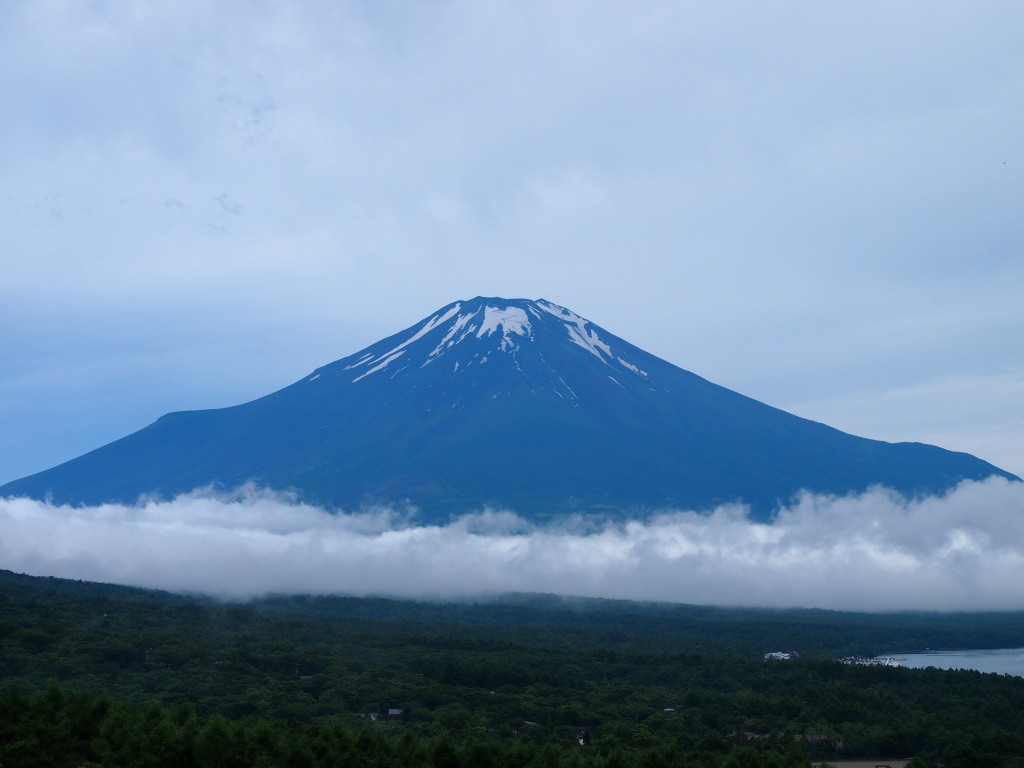 �p�m���}�� �_�C�ƕx�m�R