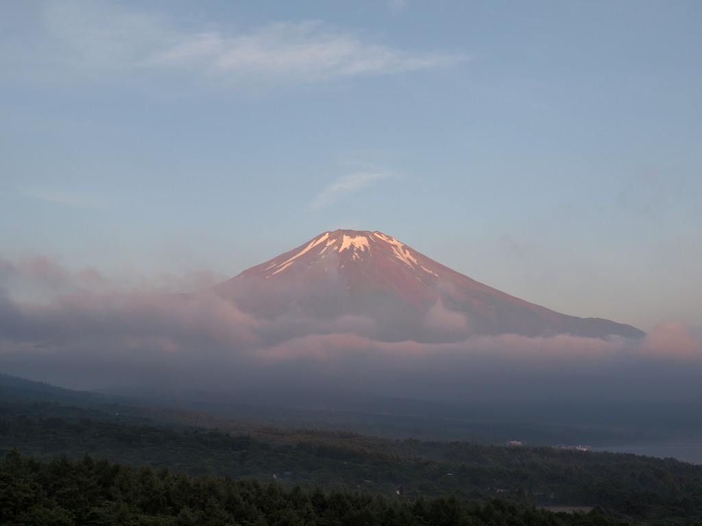 �p�m���}�� �_�C�ƍg�x�m