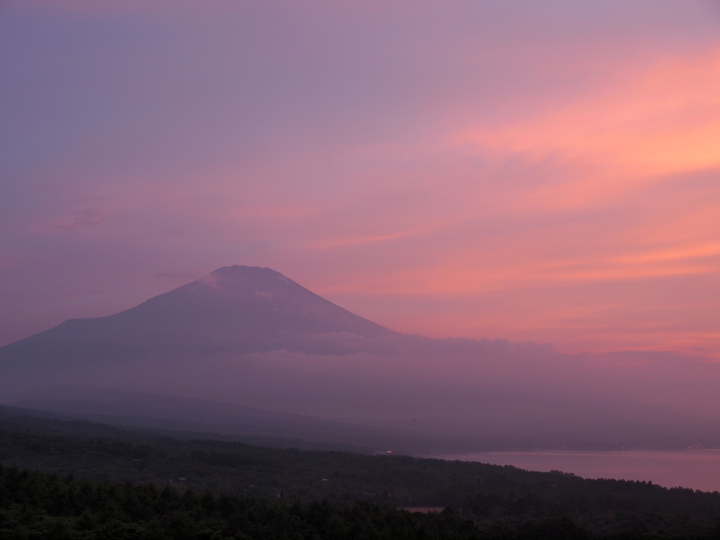 �p�m���}�� �[�Ă��̕x�m�R