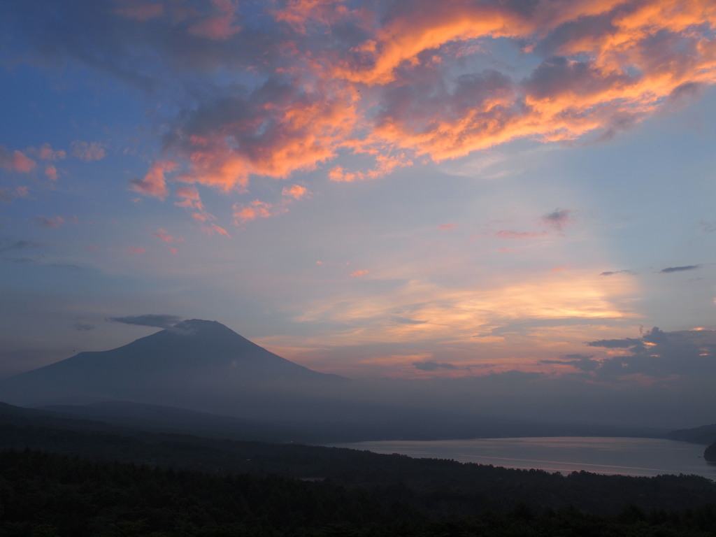 �p�m���}�� �_�ƕx�m�R