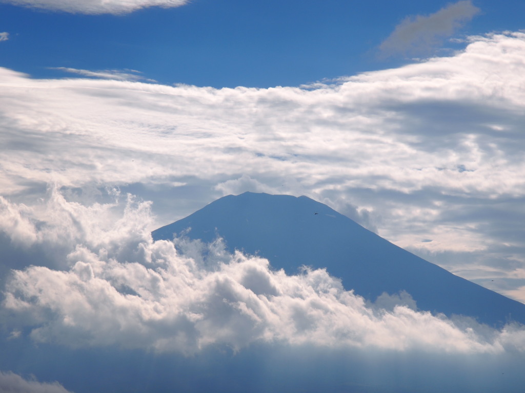 �p�m���}�� �_�ƕx�m�R