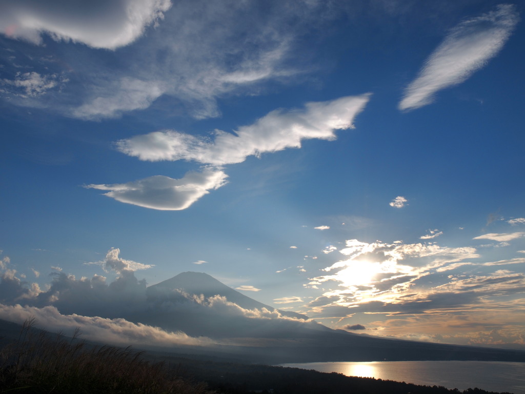 �p�m���}�� �_�ƕx�m�R