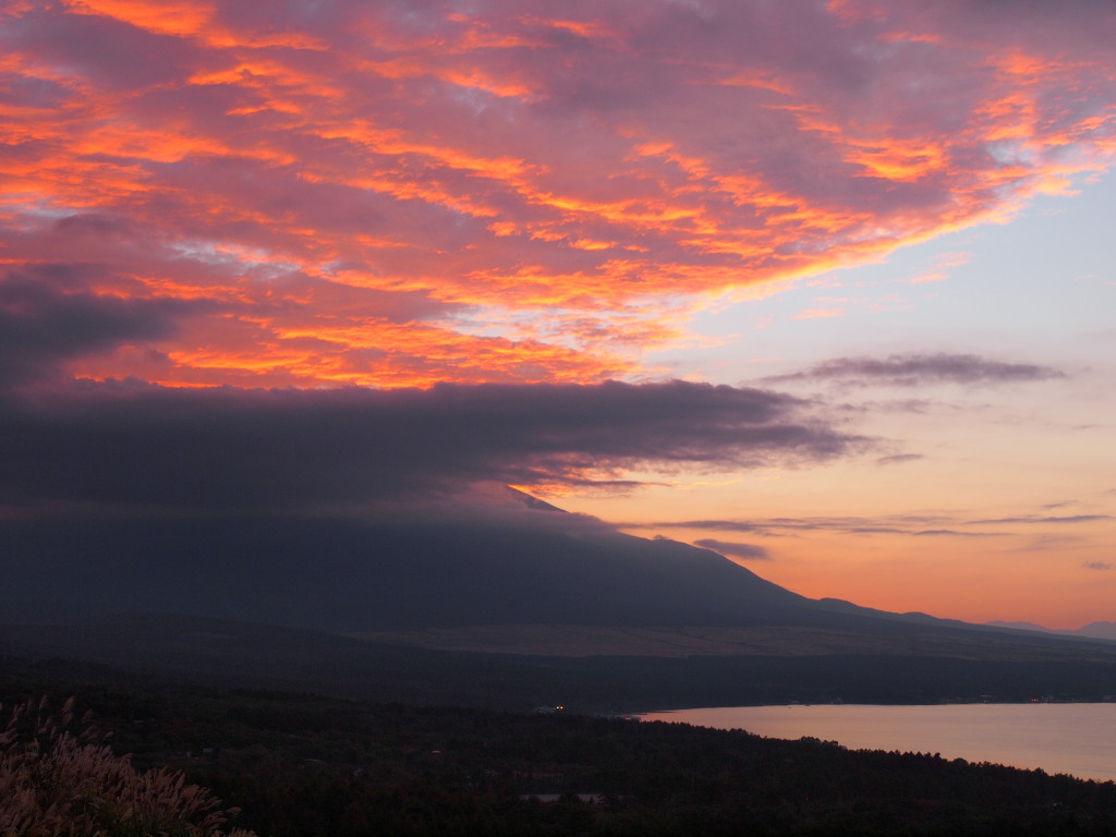 �p�m���}�� �[�Ă��̕x�m�R