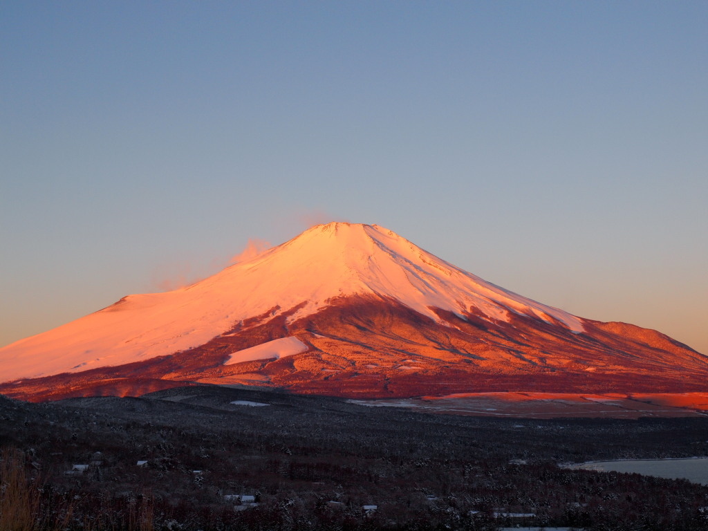 �p�m���}�� ���Ă��̍g�x�m