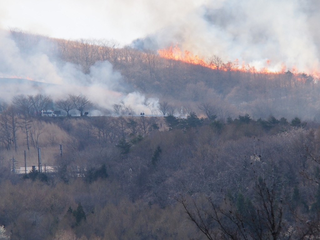 ���� �R�Ă�