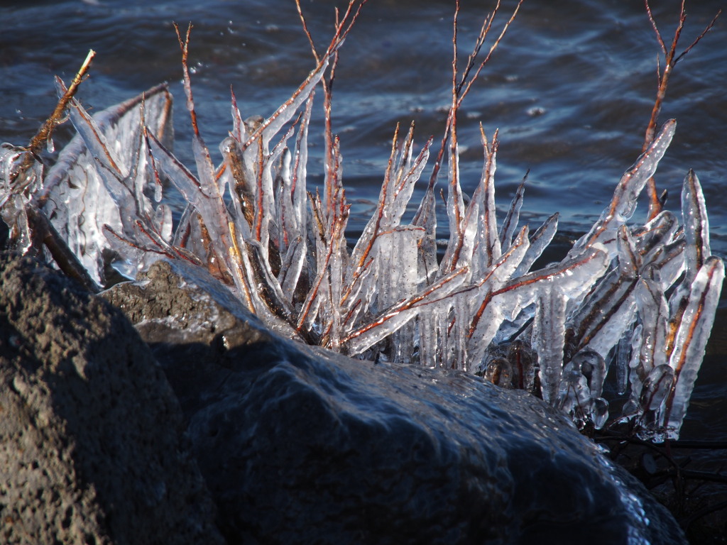 �L�����@�X��