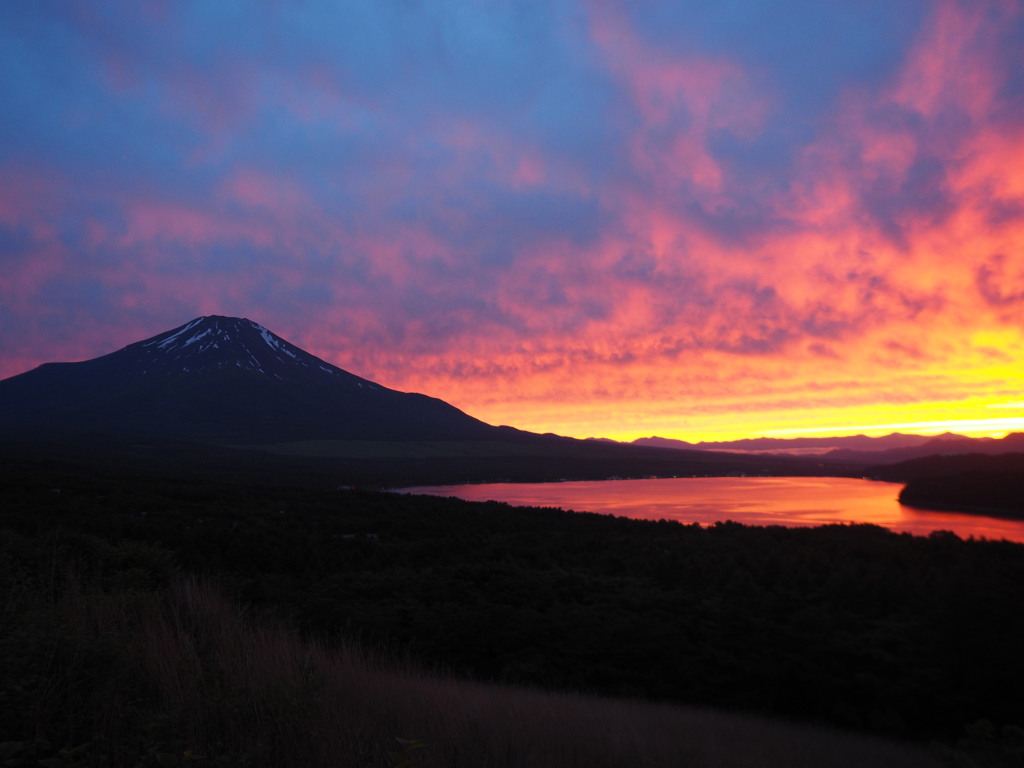 �p�m���}��@����ɐԂ��Ȃ�