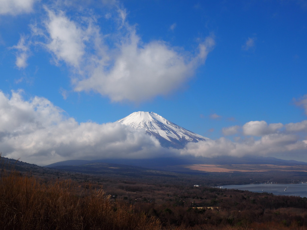 �p�m���}��@�_�ƕx�m�R