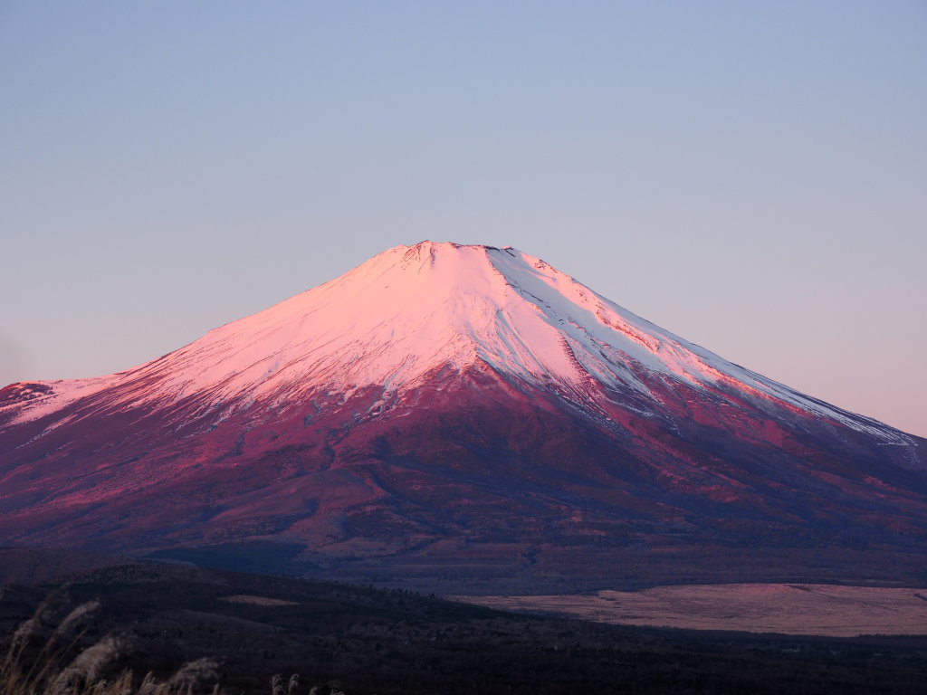 �p�m���}��@�ԕx�m