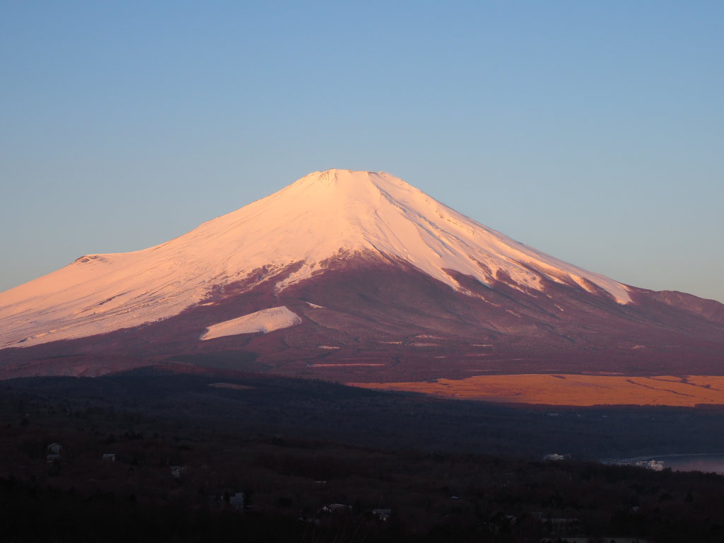 �p�m���}��@���P���Ɍ���܂��