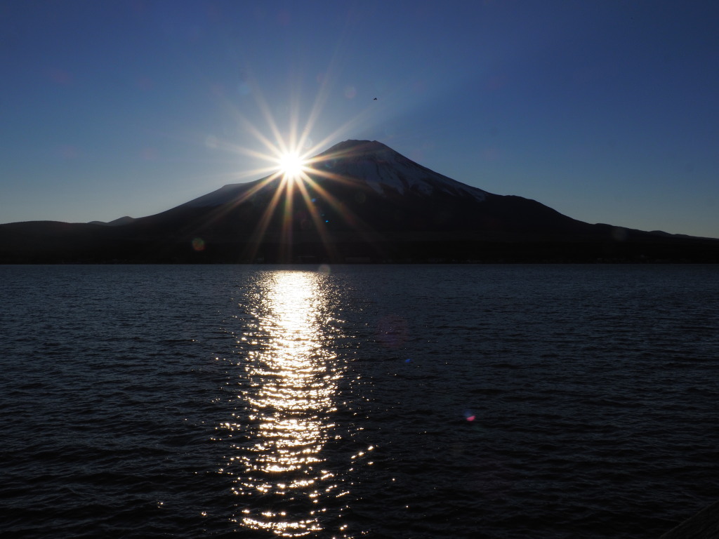 ���r ���̓���ƕx�m�R