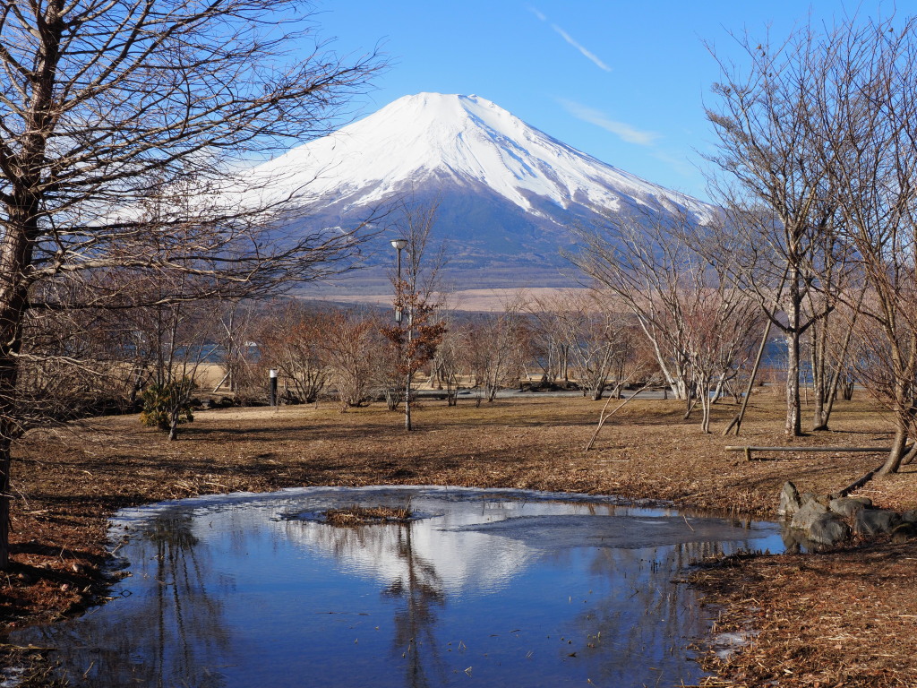 �L���� �U���̓r��(3)