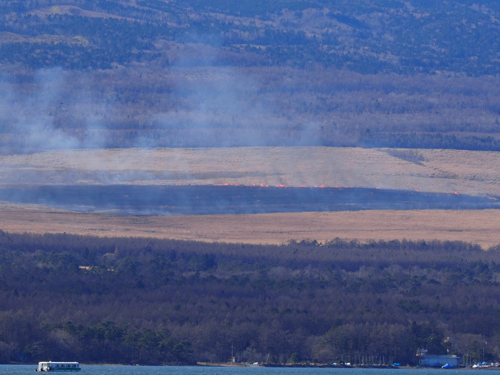 �L���� �Ύ��ł�