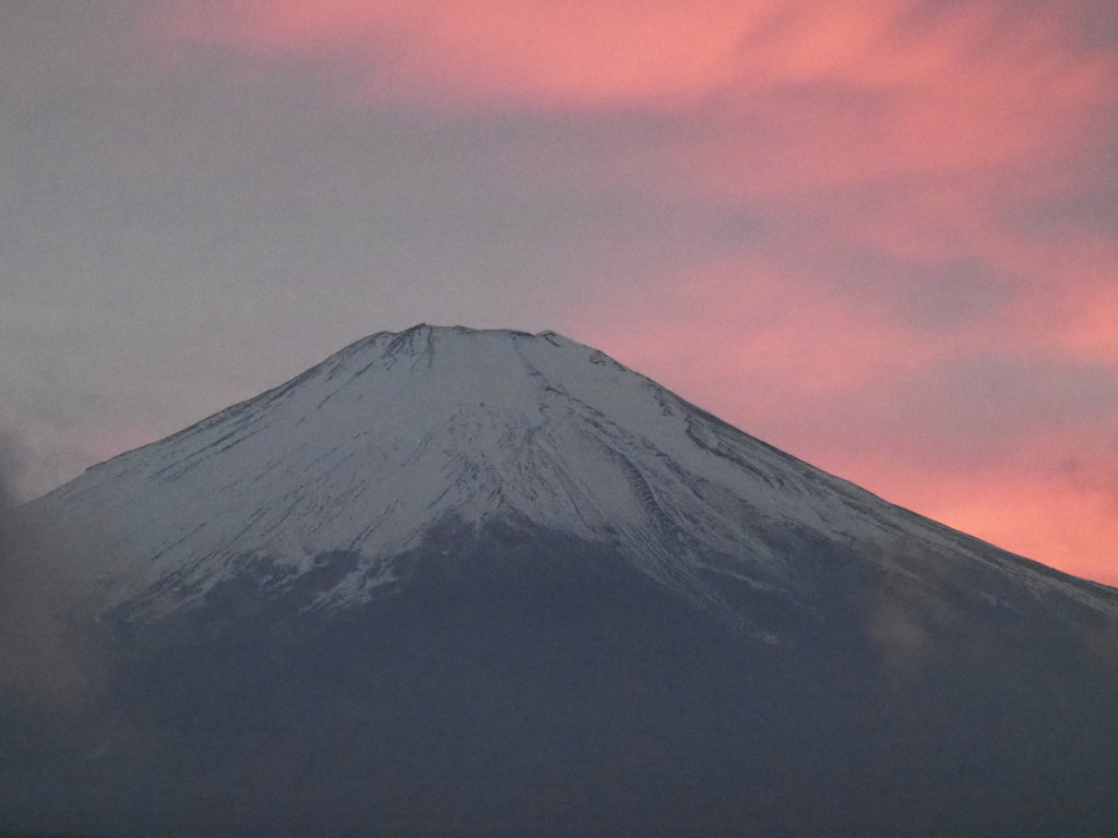 �p�m���}�� �g�x�m(2)