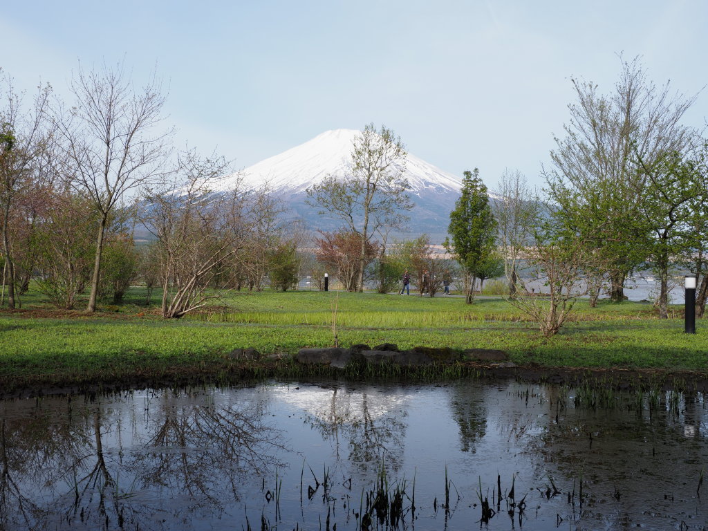 �L���� �t���x�m(2)