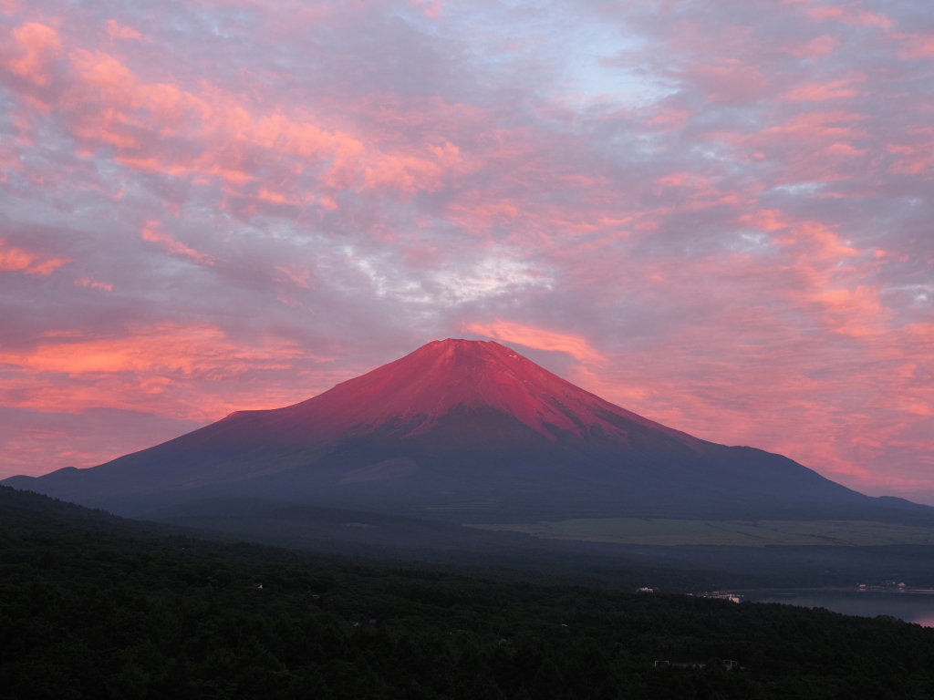 �p�m���}�� ���Ă��̕x�m�R