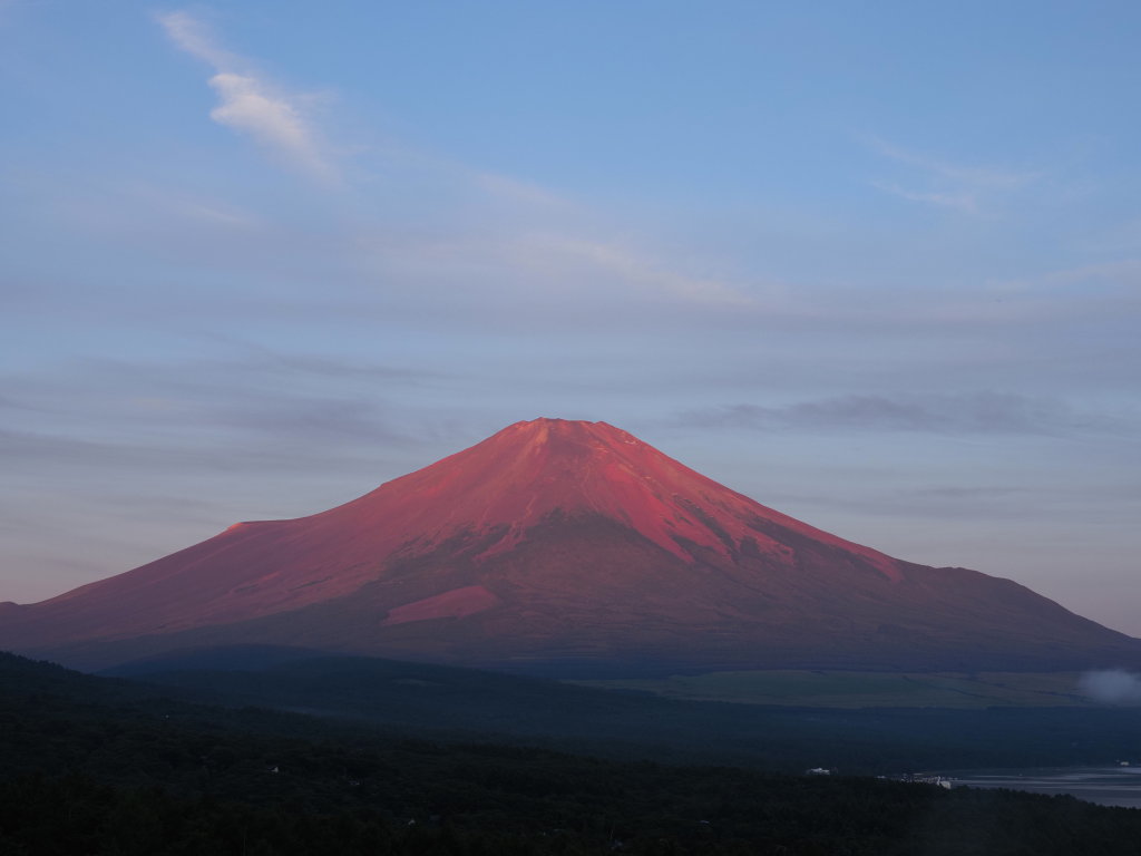 �p�m���}�� ���Ă��̌��҂�