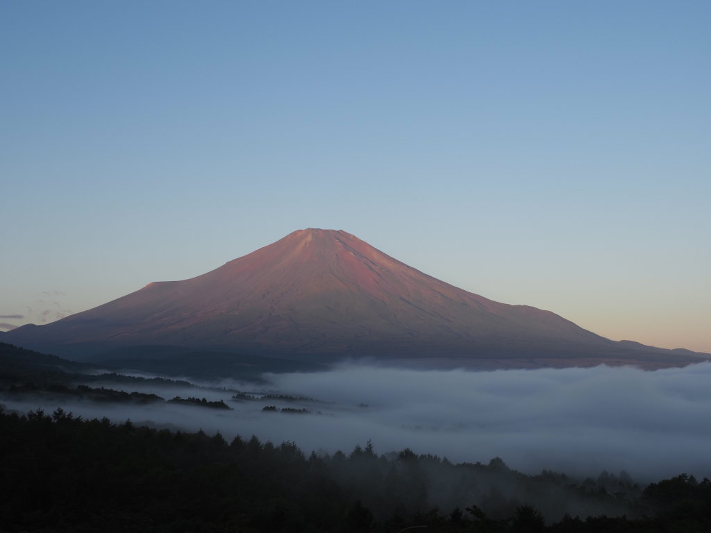 �p�m���}�� �_�C�ƕx�m�R