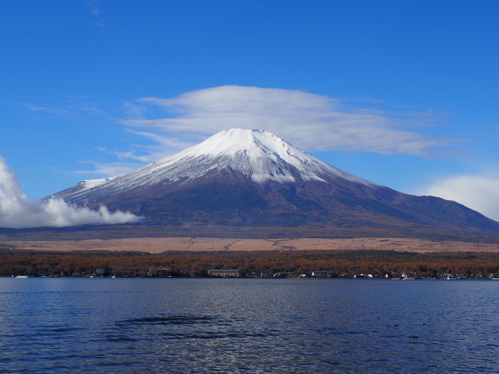 ���r �_�ƕx�m�R