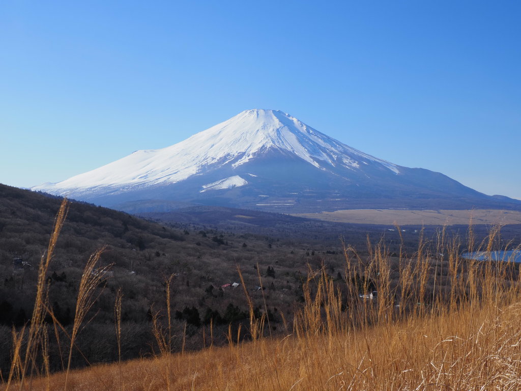 �O���� ���V���b�g