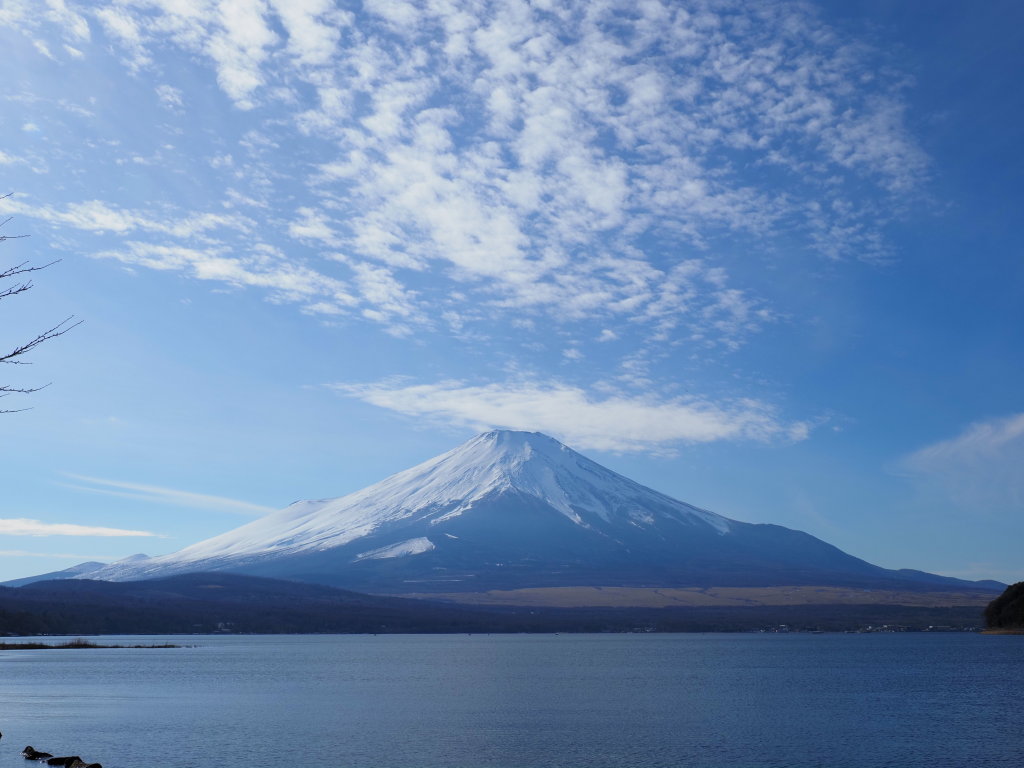 ���� �_�ƕx�m�R